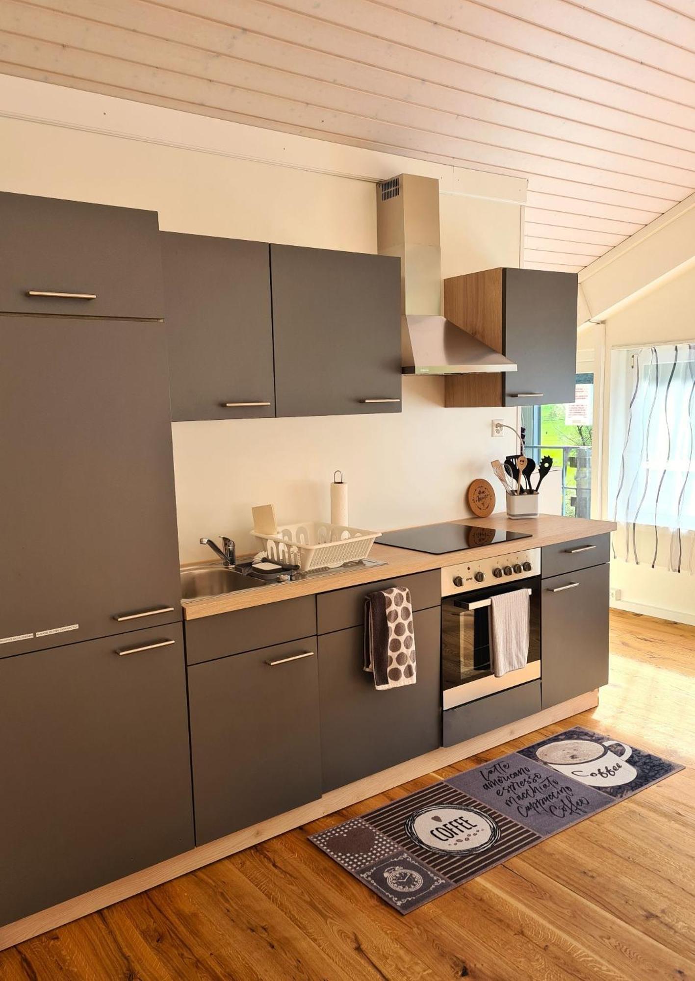 Muota River Loft & Muota Industry Apartment Near Stoos Muotathal エクステリア 写真
