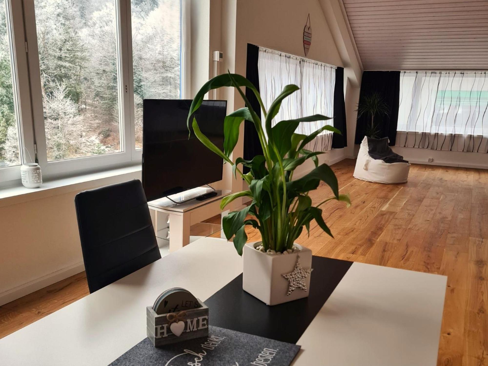 Muota River Loft & Muota Industry Apartment Near Stoos Muotathal エクステリア 写真