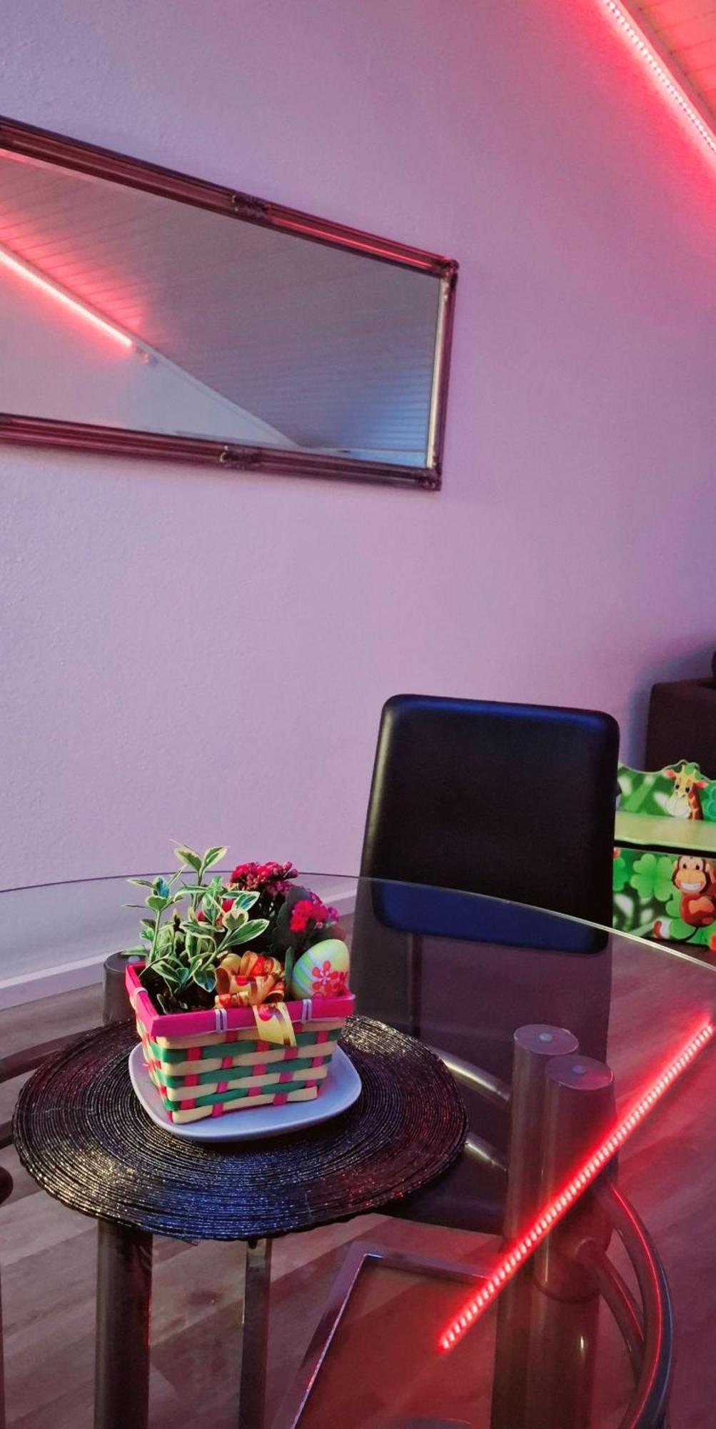 Muota River Loft & Muota Industry Apartment Near Stoos Muotathal エクステリア 写真